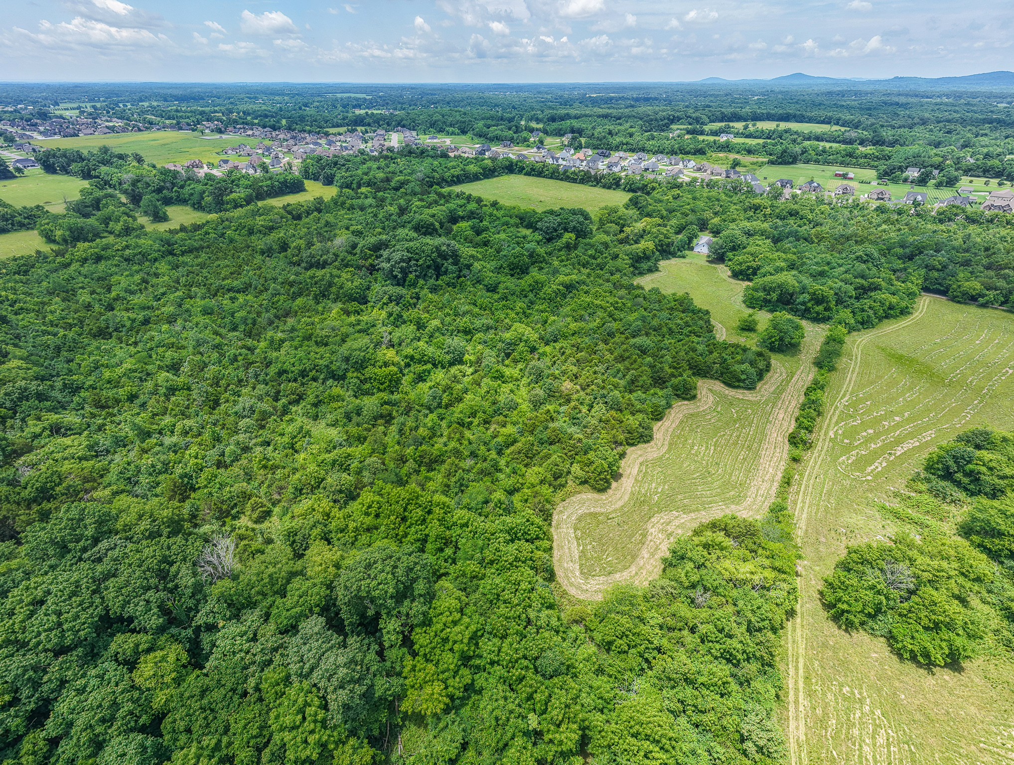 873 Walnut Grove Road Christiana, TN 37037 - Photo 12 of 29 a view of a lush green forest with a lake