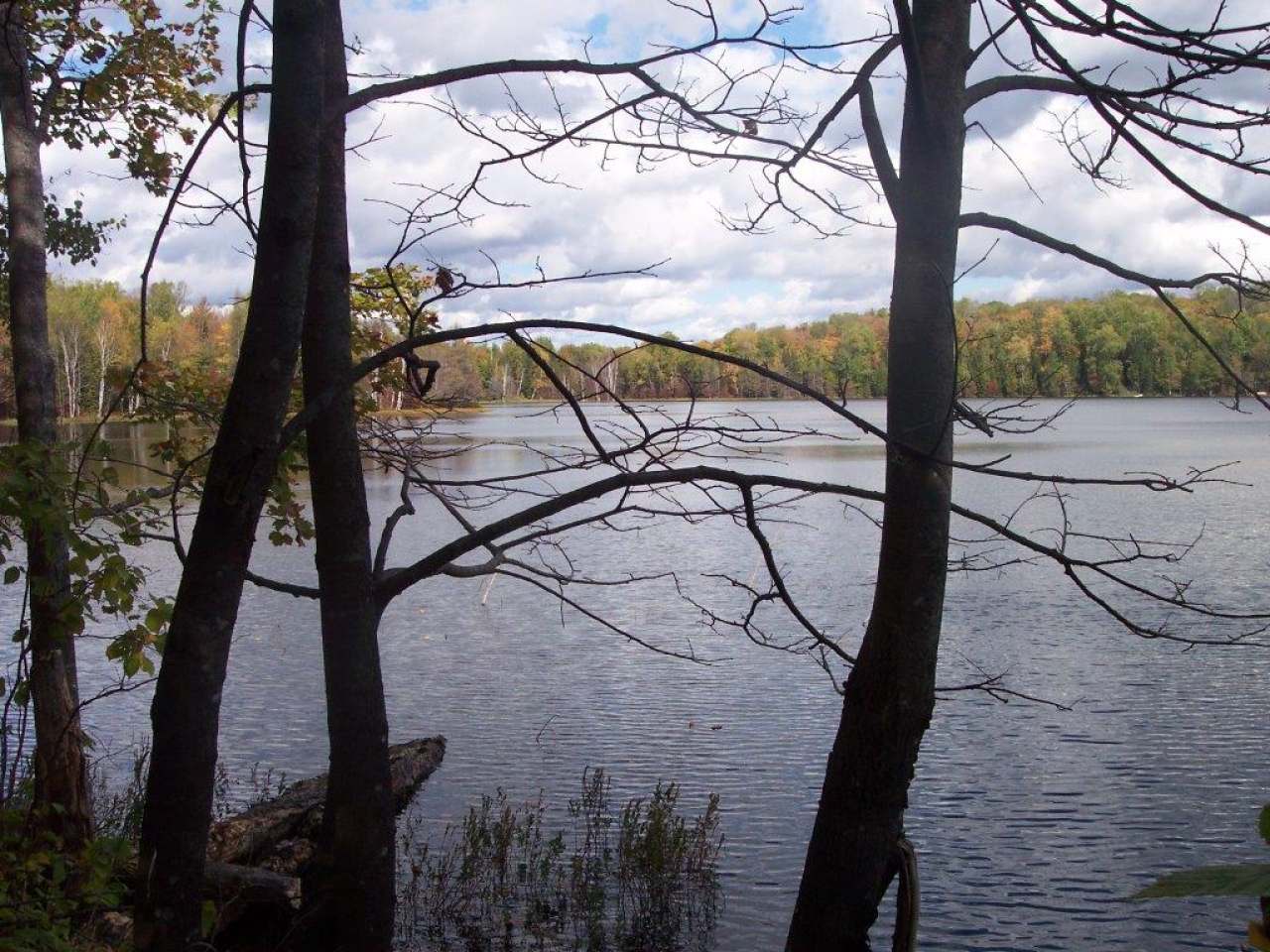 On Palmer Road, Unit LOT 1 Presque Isle, WI 54557 - Photo 10 of 11 Gallery Image 10
