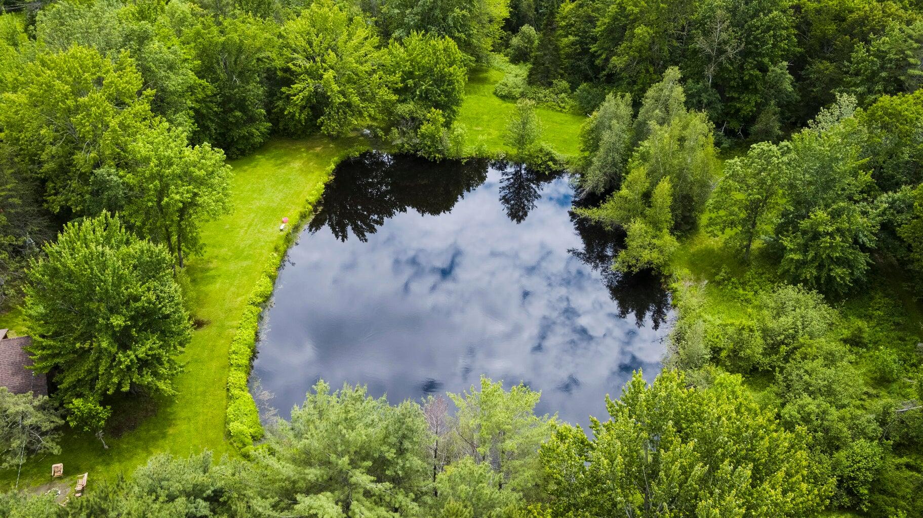 284 River Road Detroit, ME 04929 - Photo 23 of 83 closer pond view
