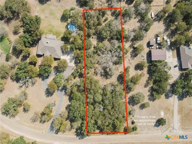 a view of a city with green space