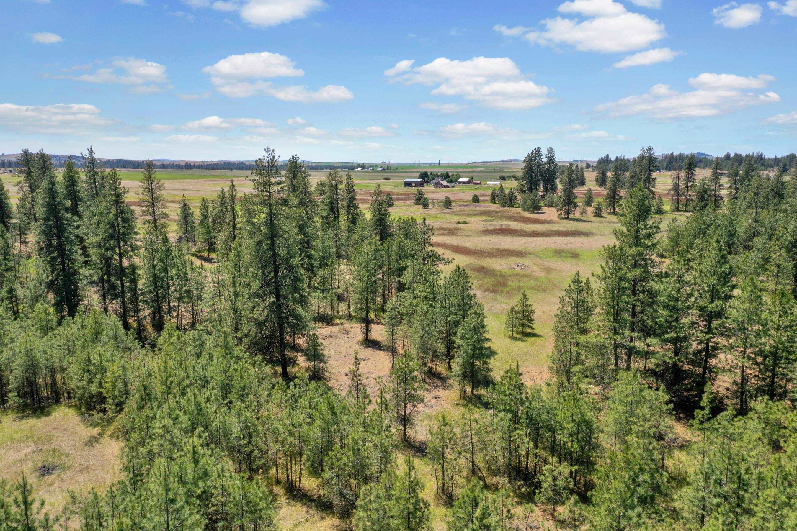 B North Ritchey Road Spokane, WA 99224 - Photo 23 of 28 Gallery Image 23