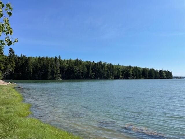 Lot 15-5 Fort Williams Road Harrington, ME 04643 - Photo 10 of 19 thumbnail_IMG_4459