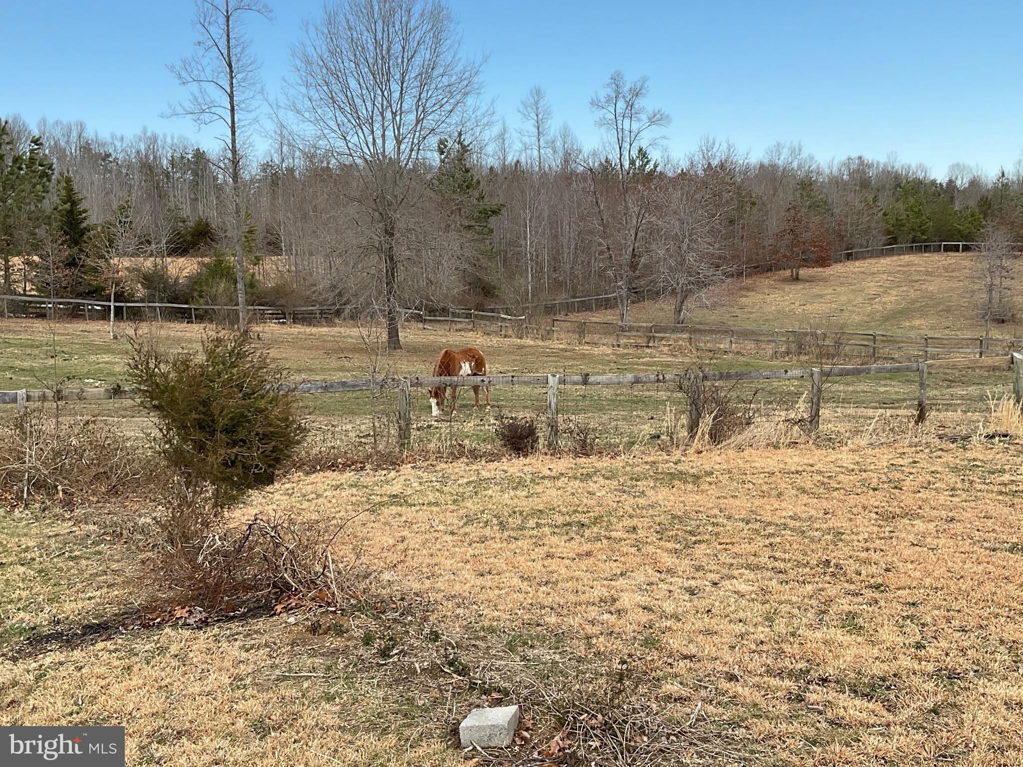 20439 Fields Mill Road Richardsville, VA 22736 - Photo 83 of 90