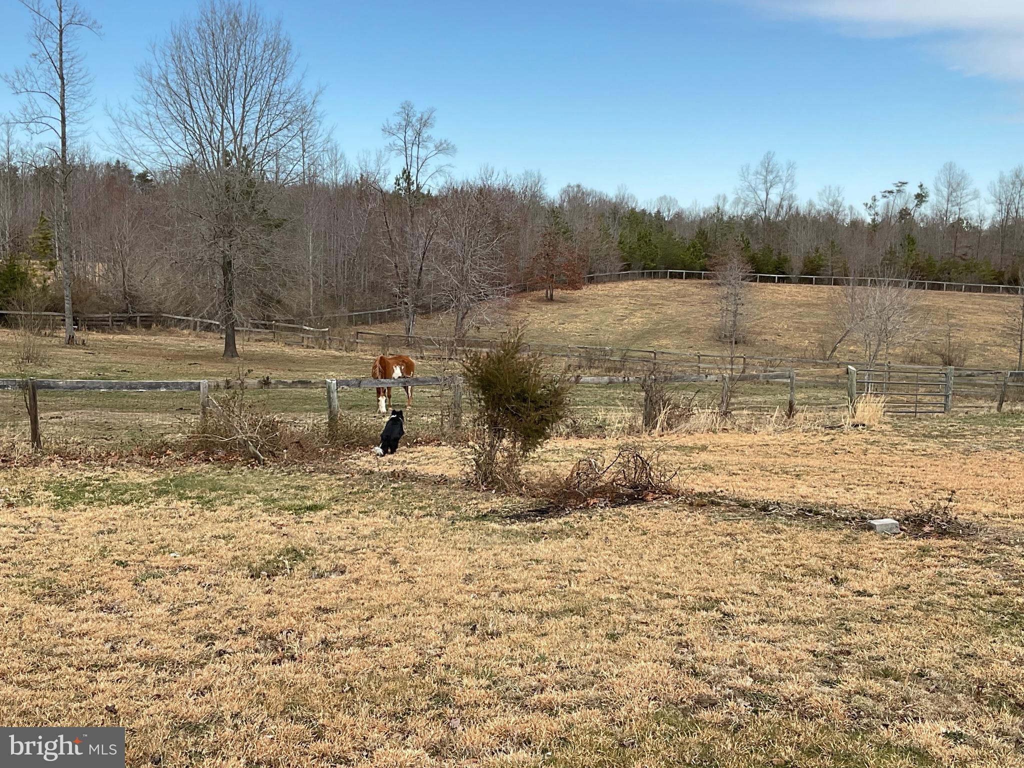 20439 Fields Mill Road Richardsville, VA 22736 - Photo 86 of 90