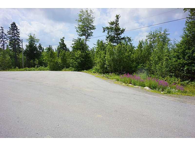 Lot #56 Ten Road Bradley, ME 04411 - Photo 5 of 14 Land/Lot.