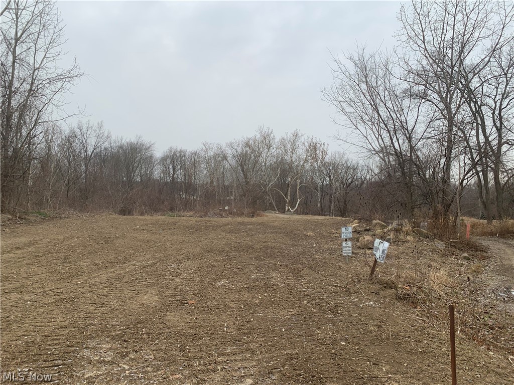 Jaeger Road Lorain, OH 44053 - Photo 4 of 5 Gallery Image 4
