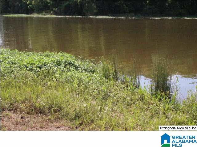 2808 England Road, Unit 2 Lincoln, AL 35096 - Photo 7 of 30