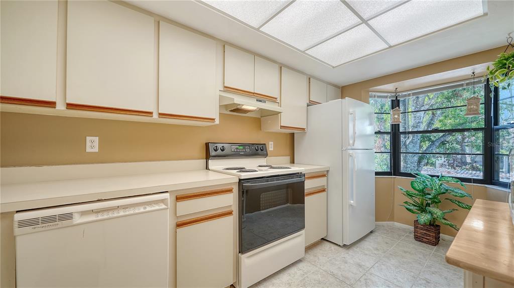5649 Summerside Lane, Unit 41B Sarasota, FL 34231 - Photo 16 of 41 a kitchen with appliances cabinets and a sink