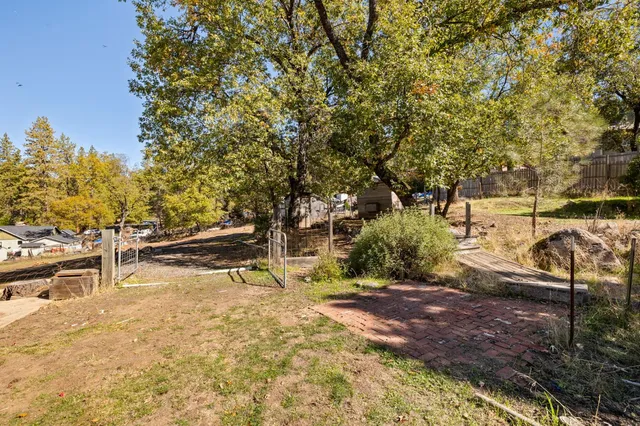 a view of backyard with large trees