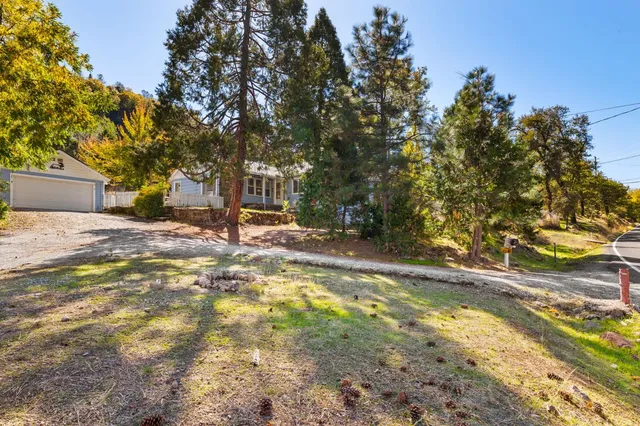 a view of a yard with plants and trees