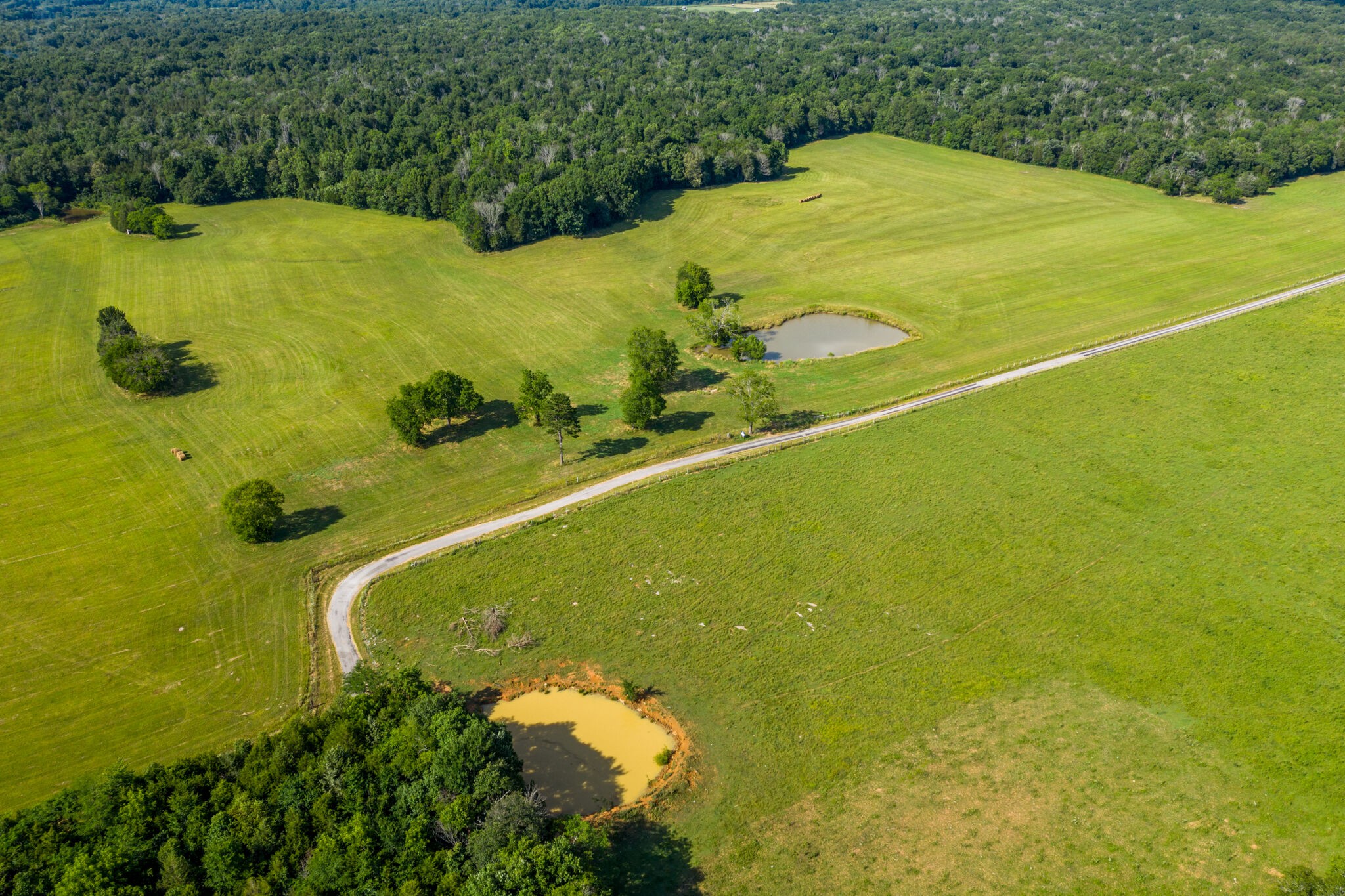 1596 Austin Road Lewisburg, TN 37091 - Photo 11 of 32 Gallery Image 11
