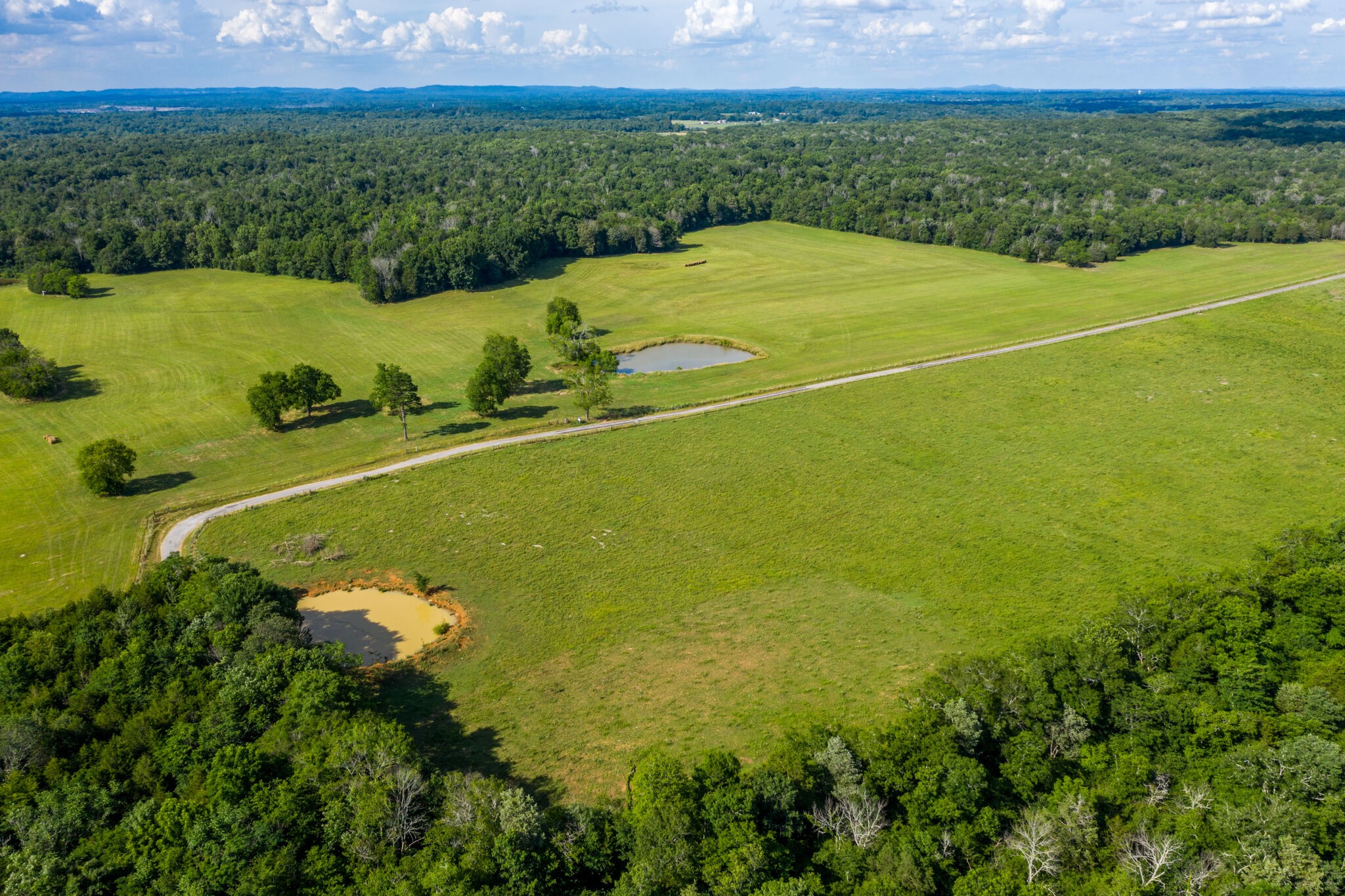 1596 Austin Road Lewisburg, TN 37091 - Photo 12 of 32 Gallery Image 12