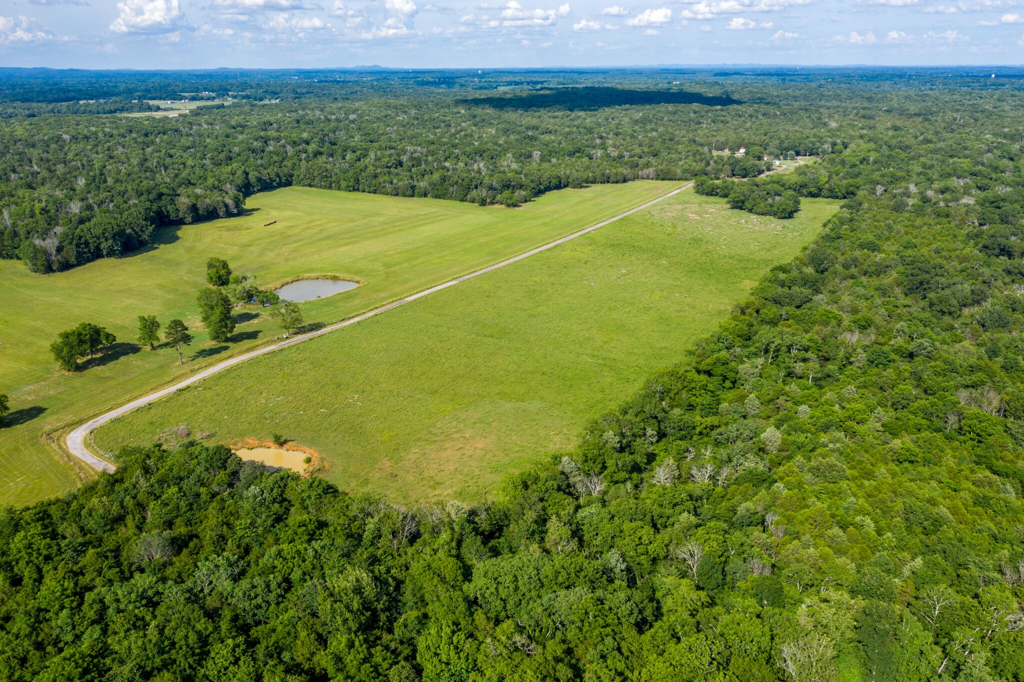 1596 Austin Road Lewisburg, TN 37091 - Photo 13 of 32 Gallery Image 13