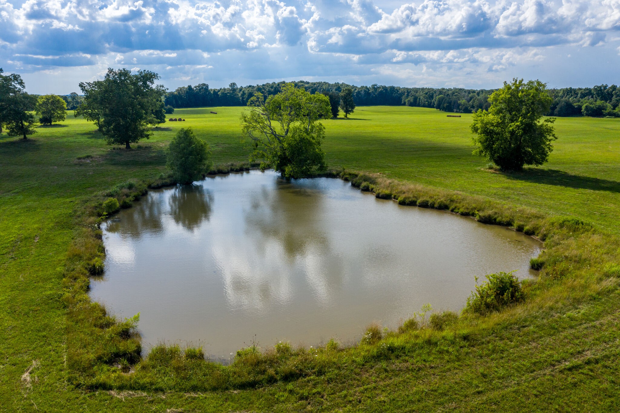 1596 Austin Road Lewisburg, TN 37091 - Photo 15 of 32 Gallery Image 15