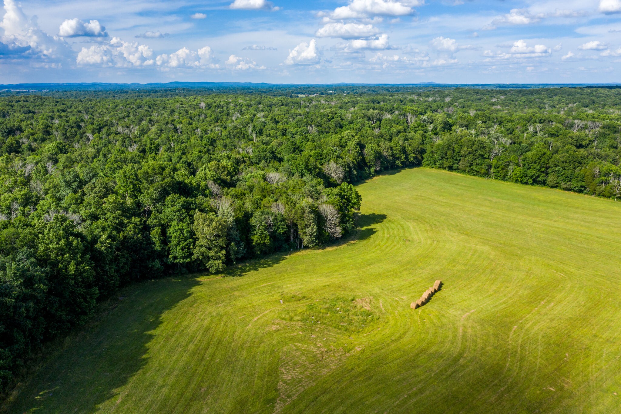 1596 Austin Road Lewisburg, TN 37091 - Photo 16 of 32 Gallery Image 16