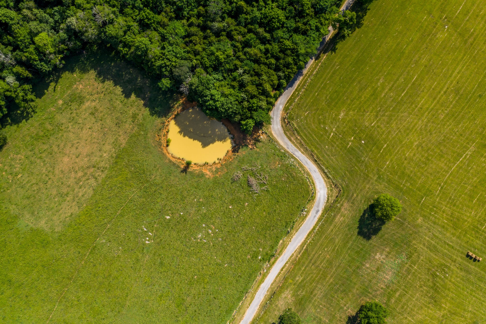 1596 Austin Road Lewisburg, TN 37091 - Photo 10 of 32 Gallery Image 10