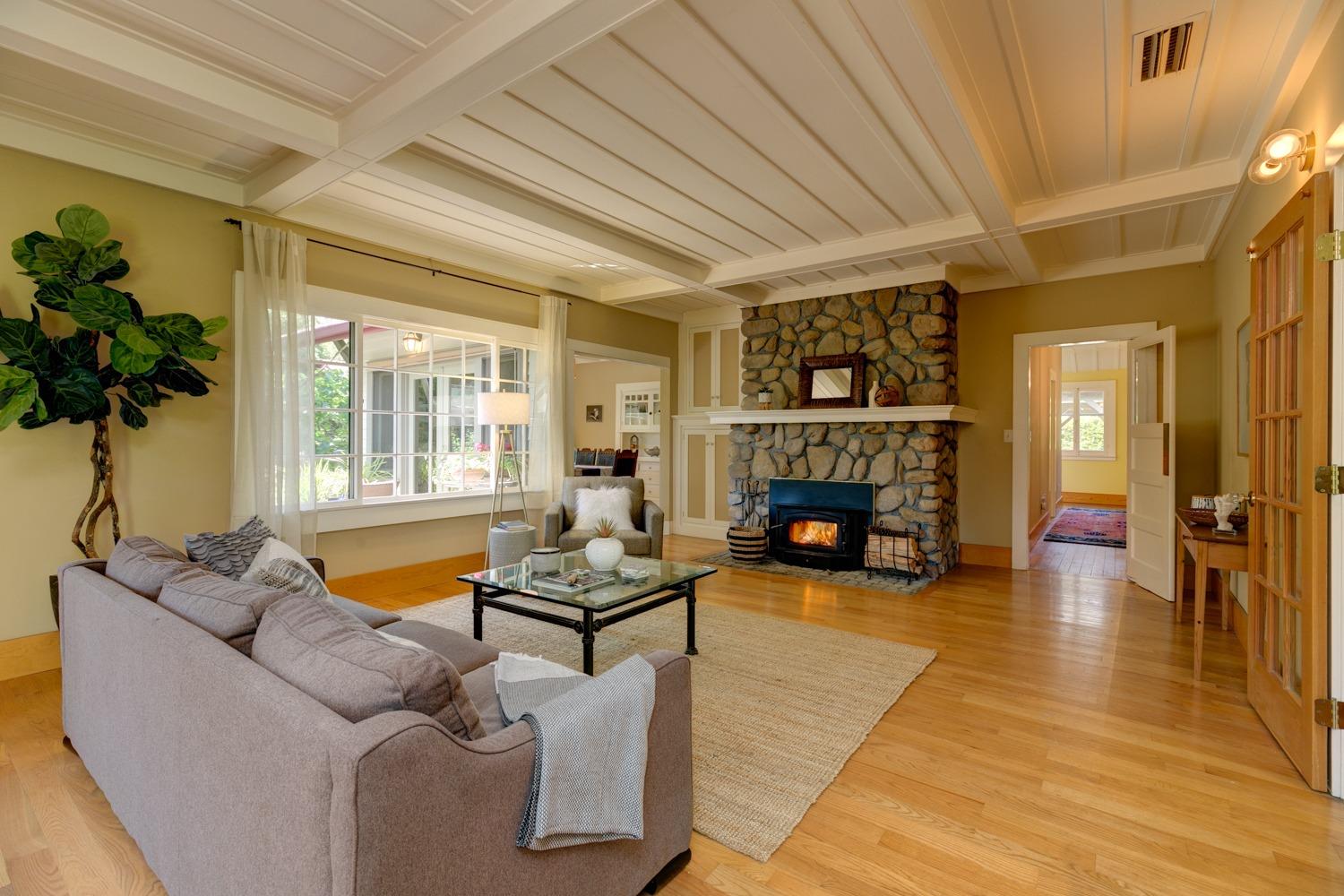 407 Del Norte Road Ojai, CA 93023 - Photo 12 of 39 a living room with furniture a fireplace and a potted plant