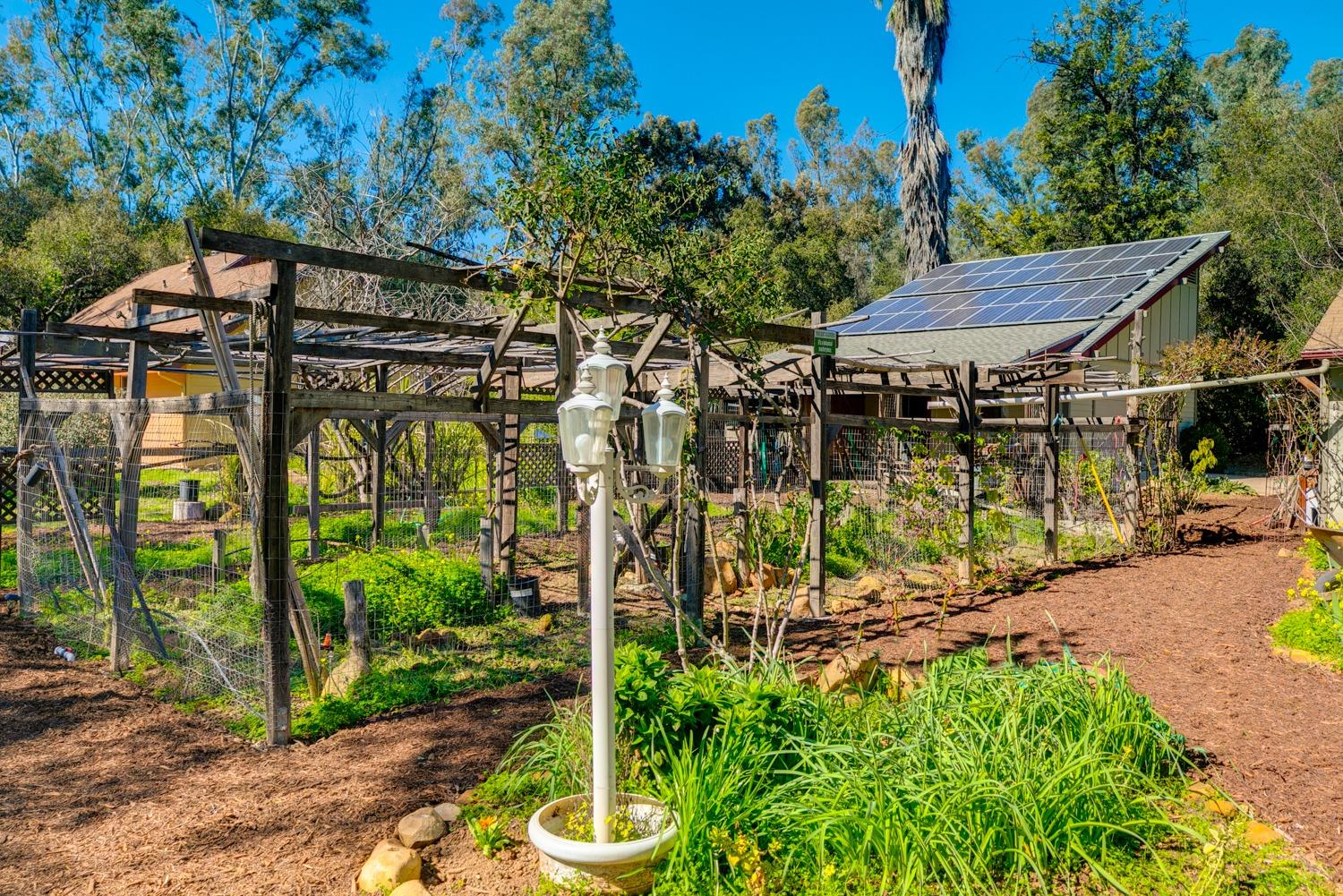 407 Del Norte Road Ojai, CA 93023 - Photo 36 of 39 a view of a backyard with plants