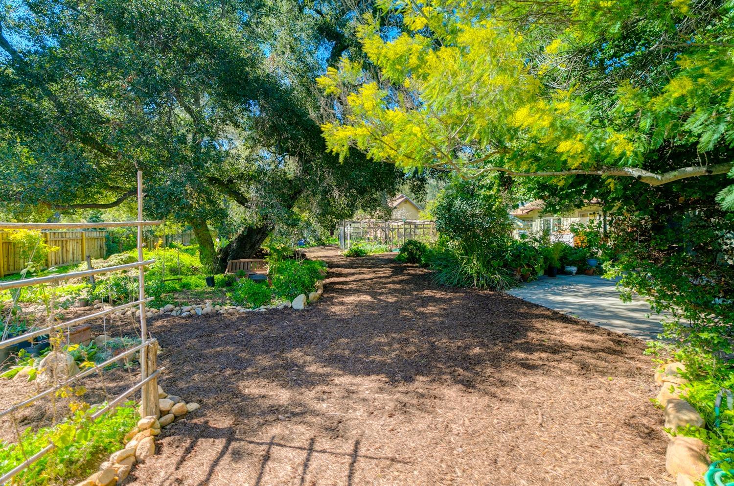 407 Del Norte Road Ojai, CA 93023 - Photo 6 of 39 a pathway of a yard
