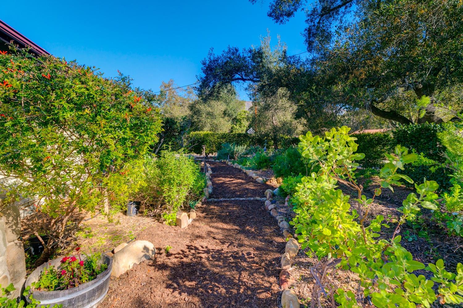 407 Del Norte Road Ojai, CA 93023 - Photo 7 of 39 a view of a garden with plants and large trees