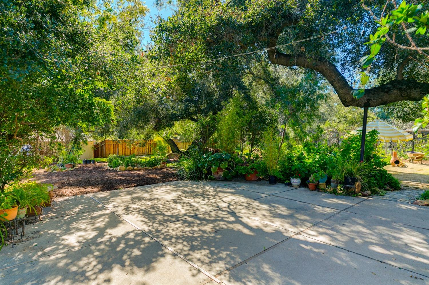 407 Del Norte Road Ojai, CA 93023 - Photo 9 of 39 a view of a road with plants and large trees