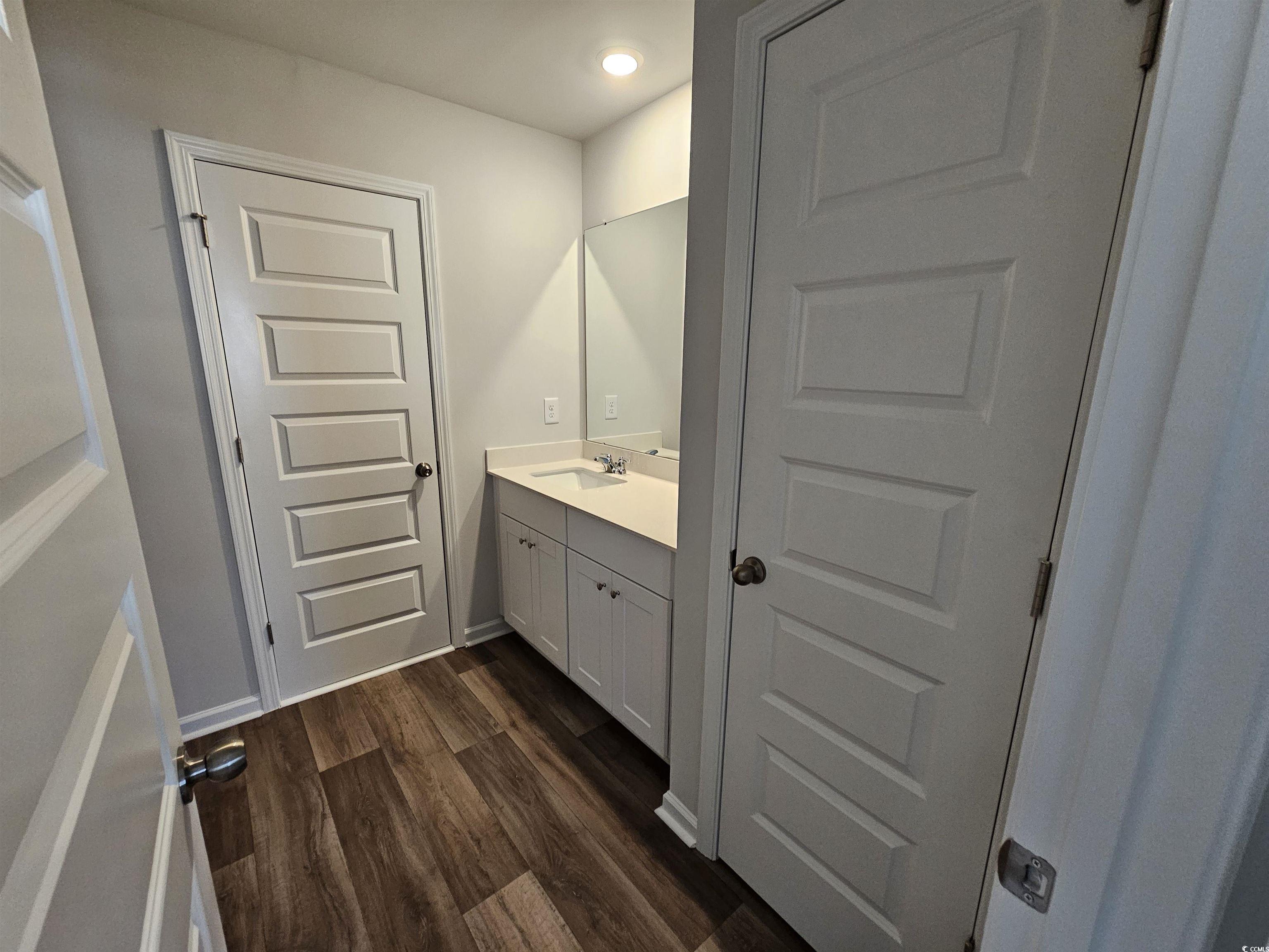 2100 Wild Indigo Circle Calabash, NC 28467 - Photo 26 of 31 Bathroom with vanity and dark wood-style flooring