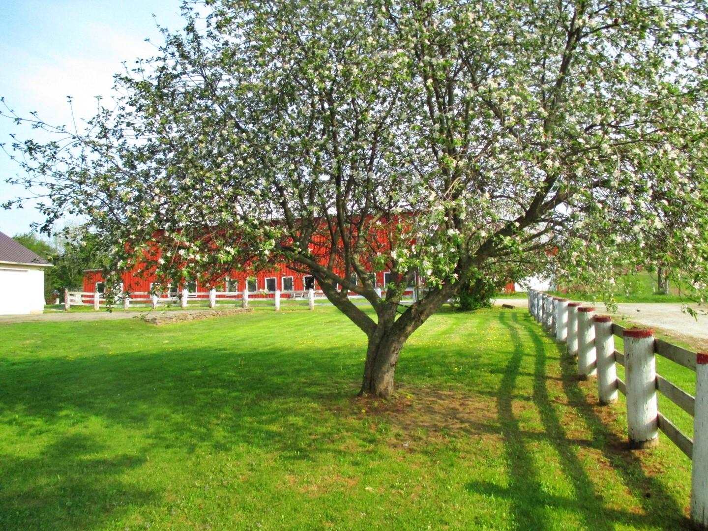 6570 Vermont Rte 100 Troy, VT 05859 - Photo 3 of 38