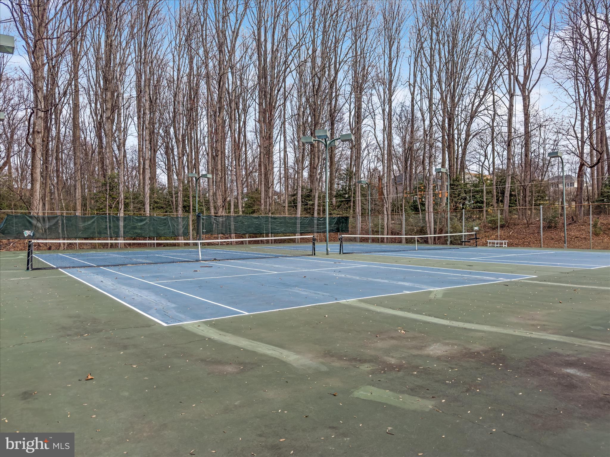 11922 Blue Spruce Road Reston, VA 20191 - Photo 57 of 65 Pickleball and Tennis Courts!