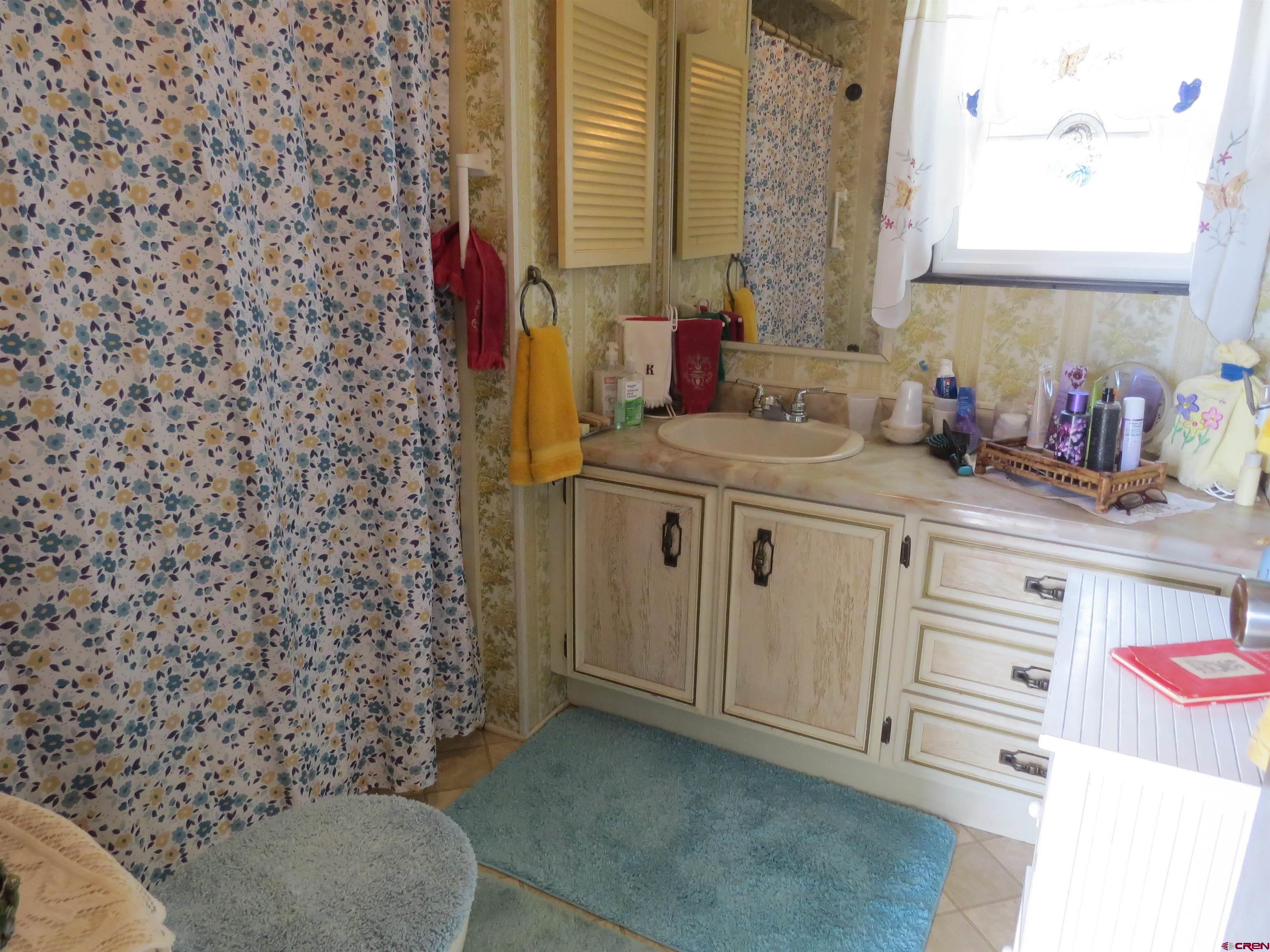 20028 Justice Road Austin, CO 81410 - Photo 16 of 22 a bathroom with a sink a vanity and a shower