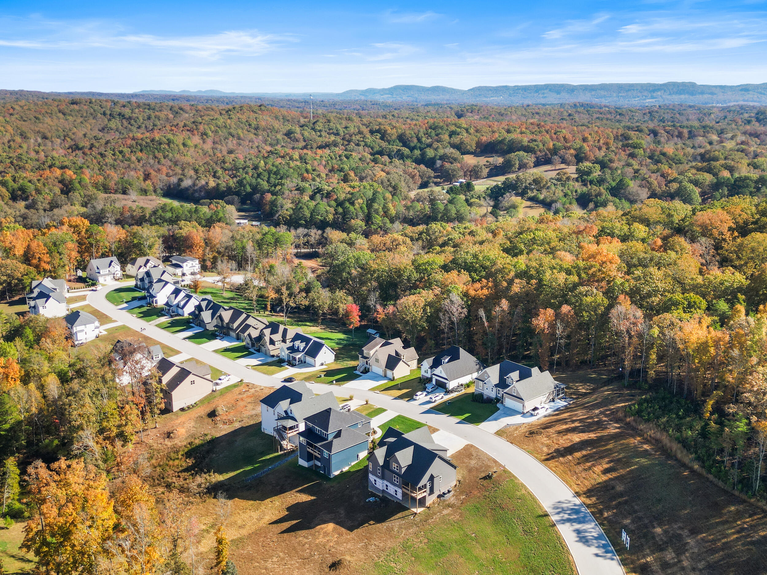 6119 Cashmere Lane Harrison, TN 37341 - Photo 37 of 40 dji_0309