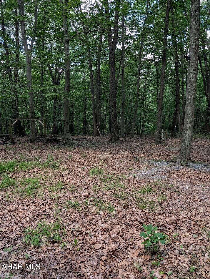 0 Mosquito Hollow Road Six Mile Run, PA 16679 - Photo 22 of 29
