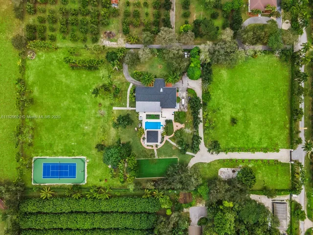 a view of a yard with a house and palm trees