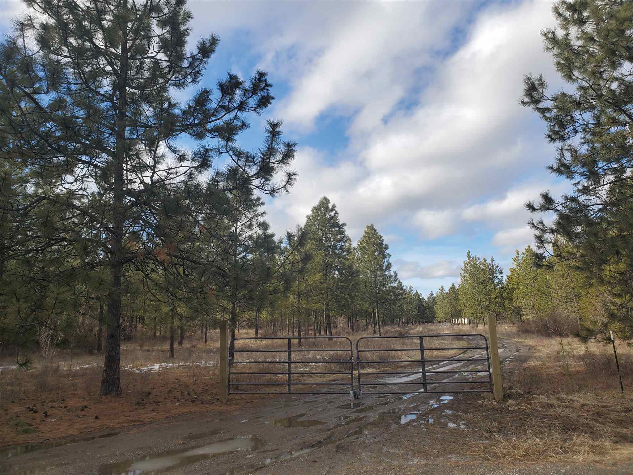 5950 Conner Road Fruitland, WA 99129 - Photo 38 of 40
