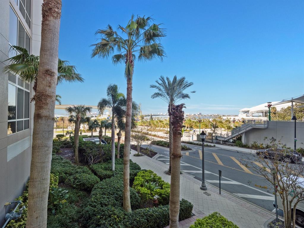 331 Cleveland Street, Unit 1101 Clearwater, FL 33755 - Photo 51 of 77 a view of a palm tree from a patio