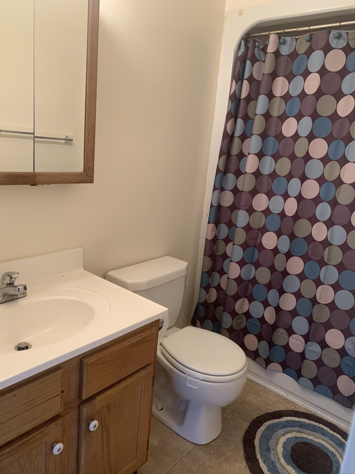 119 Summerfield Road LaFayette, GA 30728 - Photo 13 of 15 Full Bath