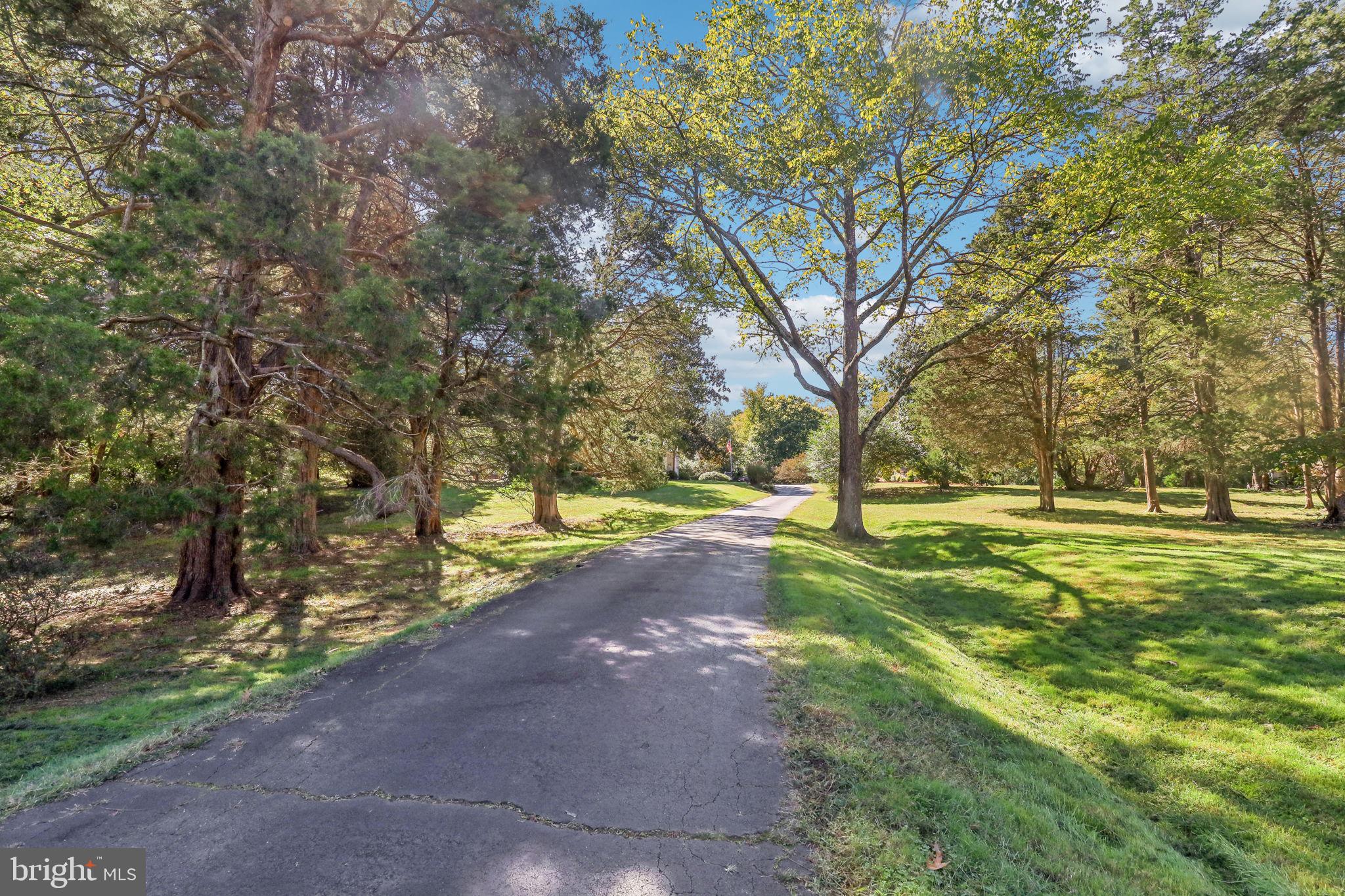 10650 Gunston Road Lorton, VA 22079 - Photo 68 of 73 Tree-Lined Driveway