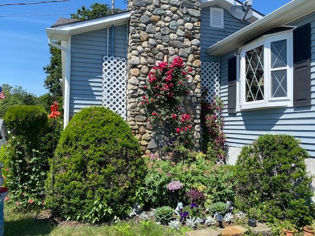 51 Duck Cove Road Orland, ME 04472 - Photo 2 of 46 Flowering Plants