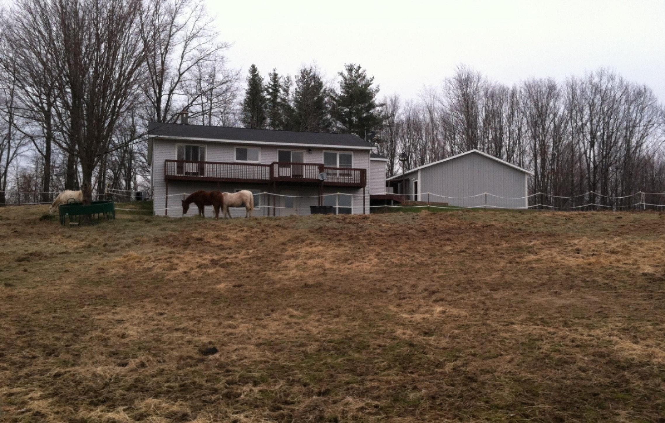 2129 East Moore Road Bailey, MI 49303 - Photo 1 of 25 IMG_1905
