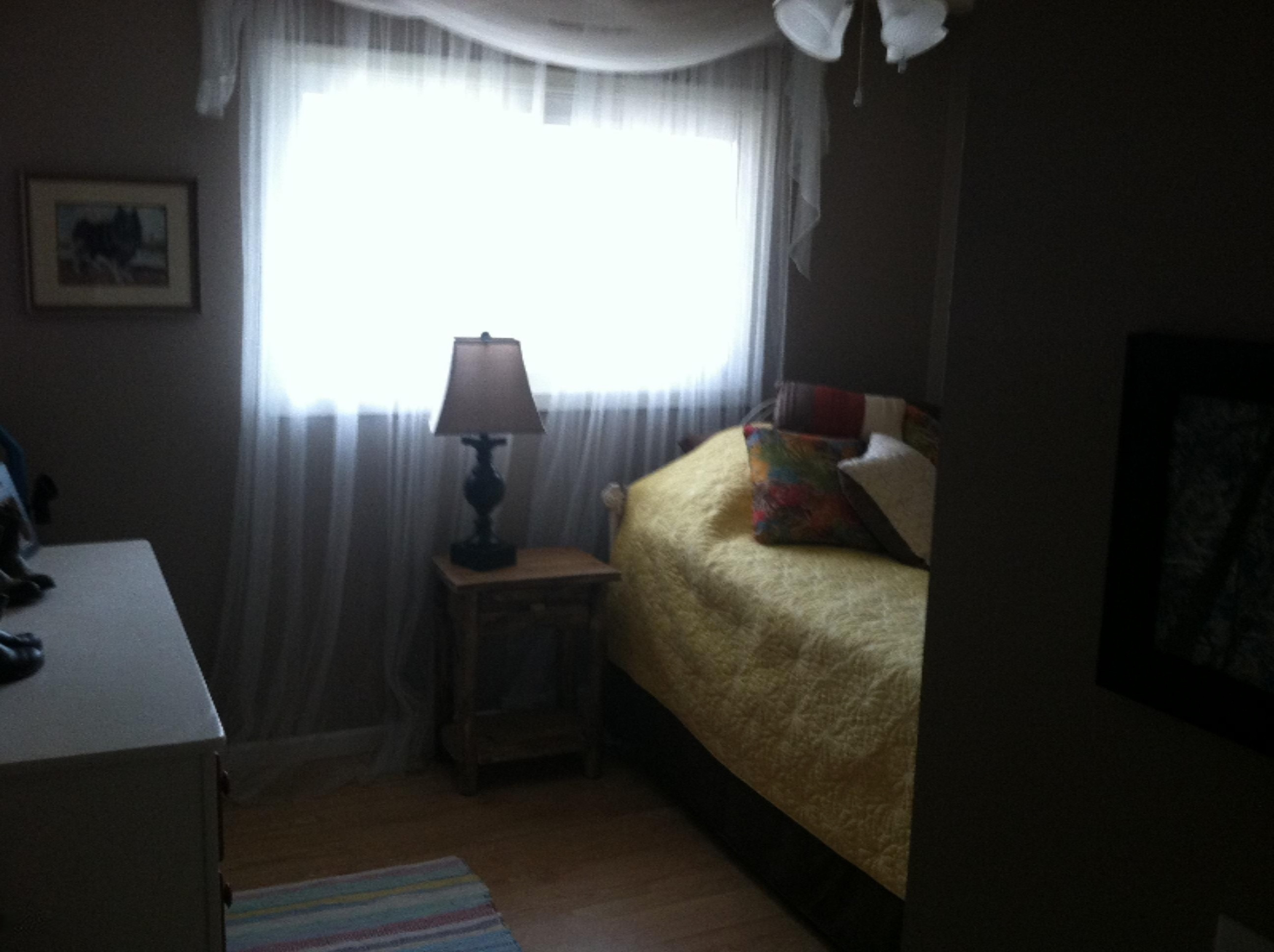 2129 East Moore Road Bailey, MI 49303 - Photo 16 of 25 IMG_1887