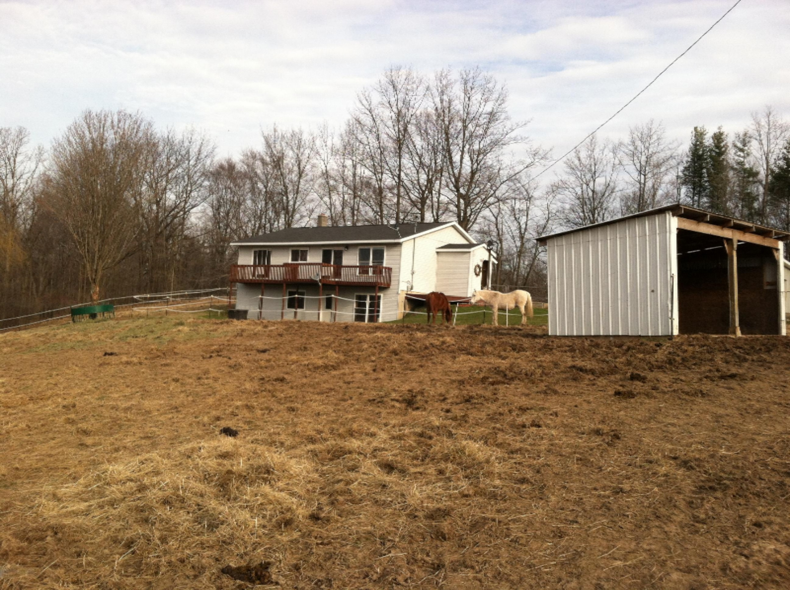 2129 East Moore Road Bailey, MI 49303 - Photo 2 of 25 IMG_1900