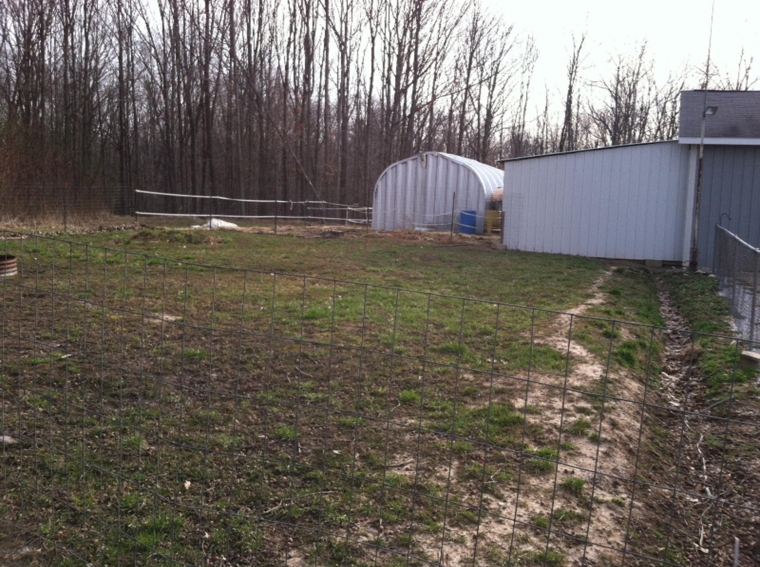 2129 East Moore Road Bailey, MI 49303 - Photo 9 of 25 IMG_1899