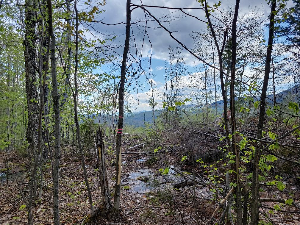 Lot 11 Swift River Road Byron, ME 04275 - Photo 34 of 72 photo_158383f2-2b71-4f4c-8f0b-e9cacb8dc6