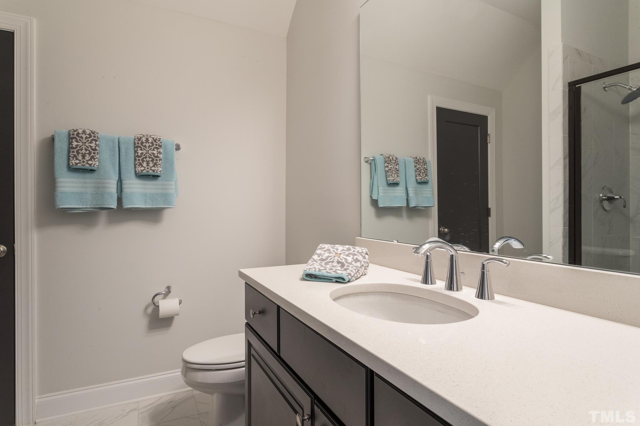 5601 Norcrest Street Raleigh, NC 27612 - Photo 39 of 41 a bathroom with a sink and a toilet