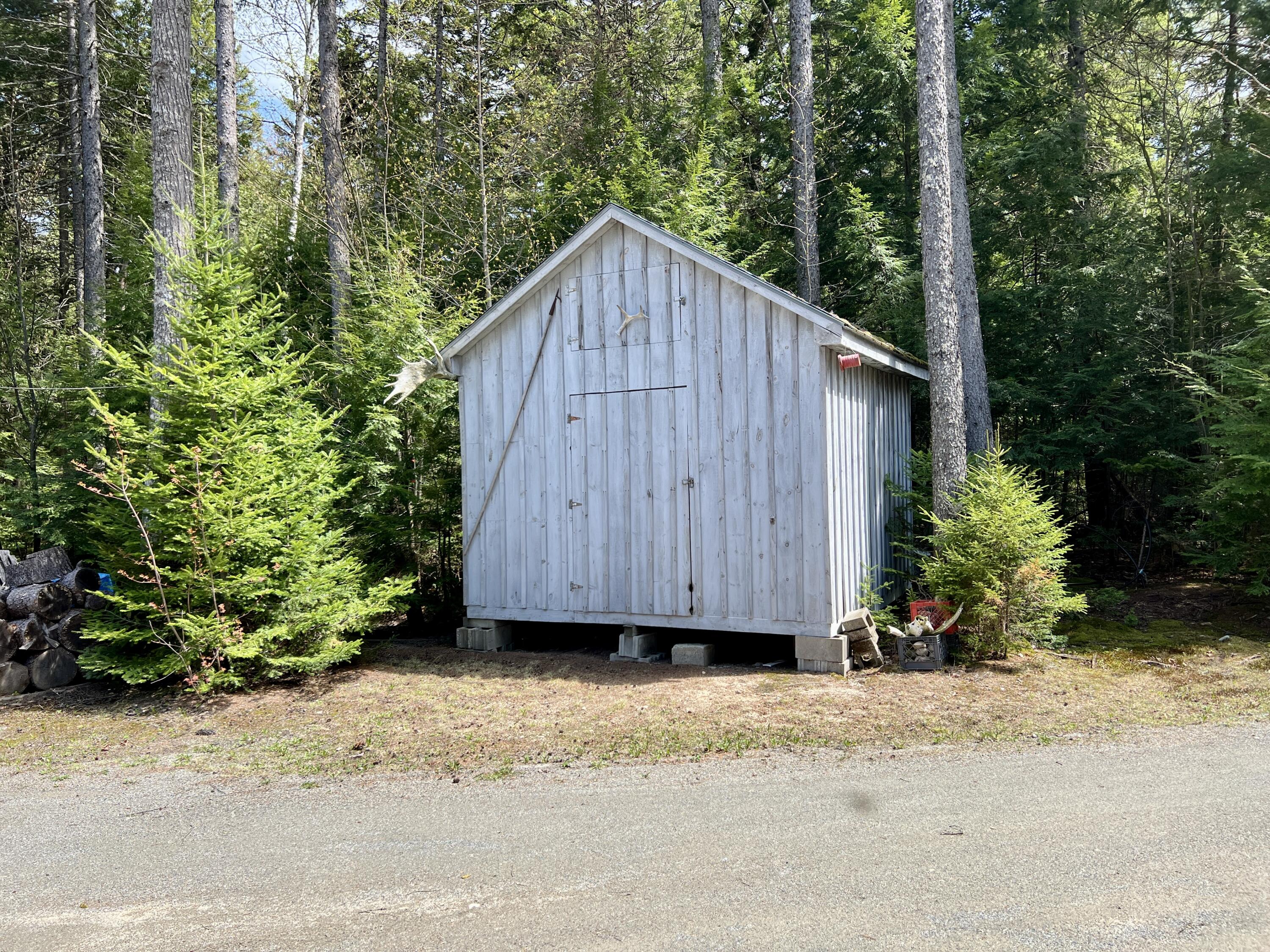 869 Turkey Tail Road Millinocket, ME 04462 - Photo 42 of 44 IMG_1350