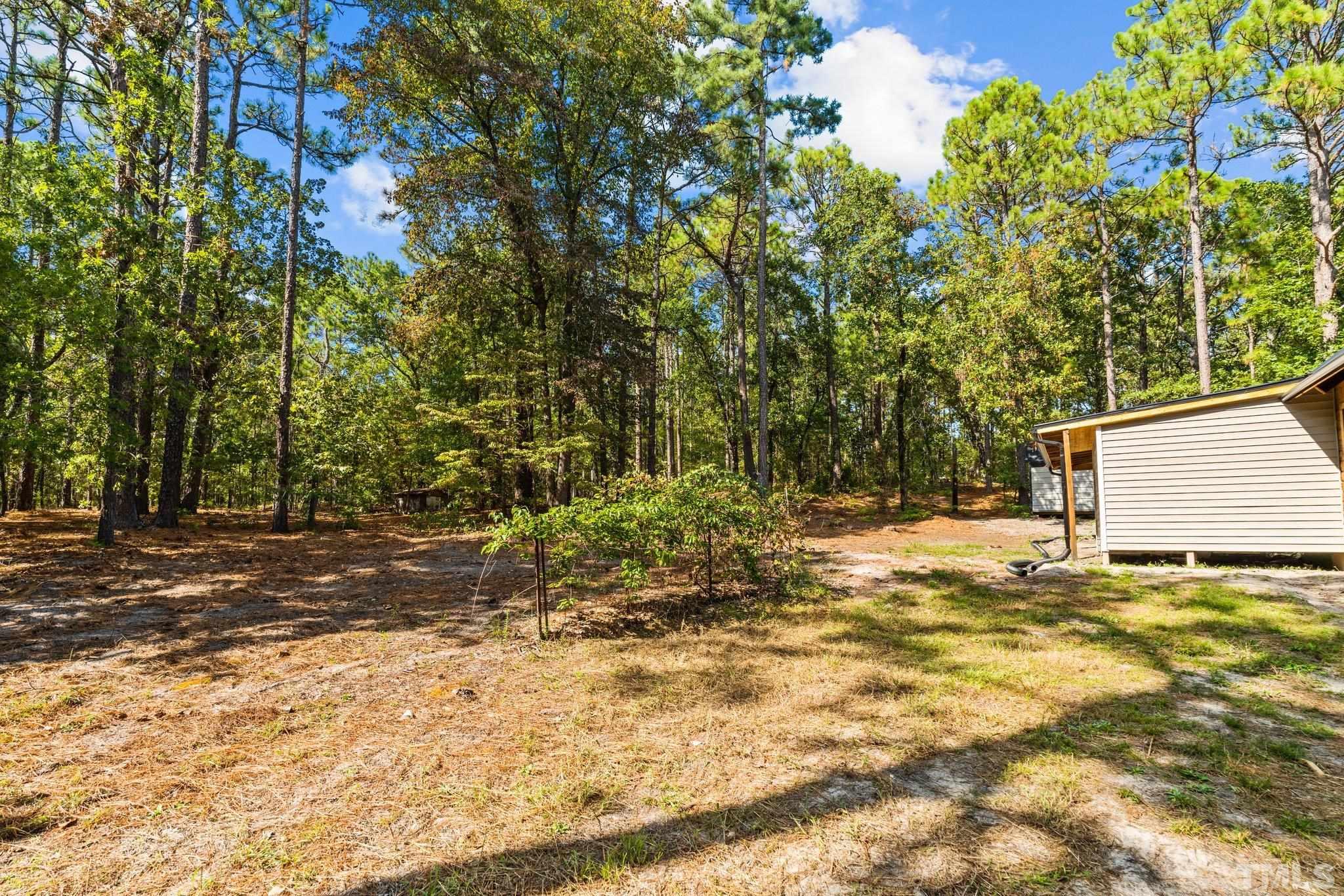 2296 Nursery Road Lillington, NC 27546 - Photo 40 of 43 a backyard of a house with large trees