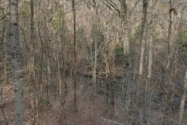 $440,000 | 1146 Treanor Springs Road, Kingston Springs, TN 37082