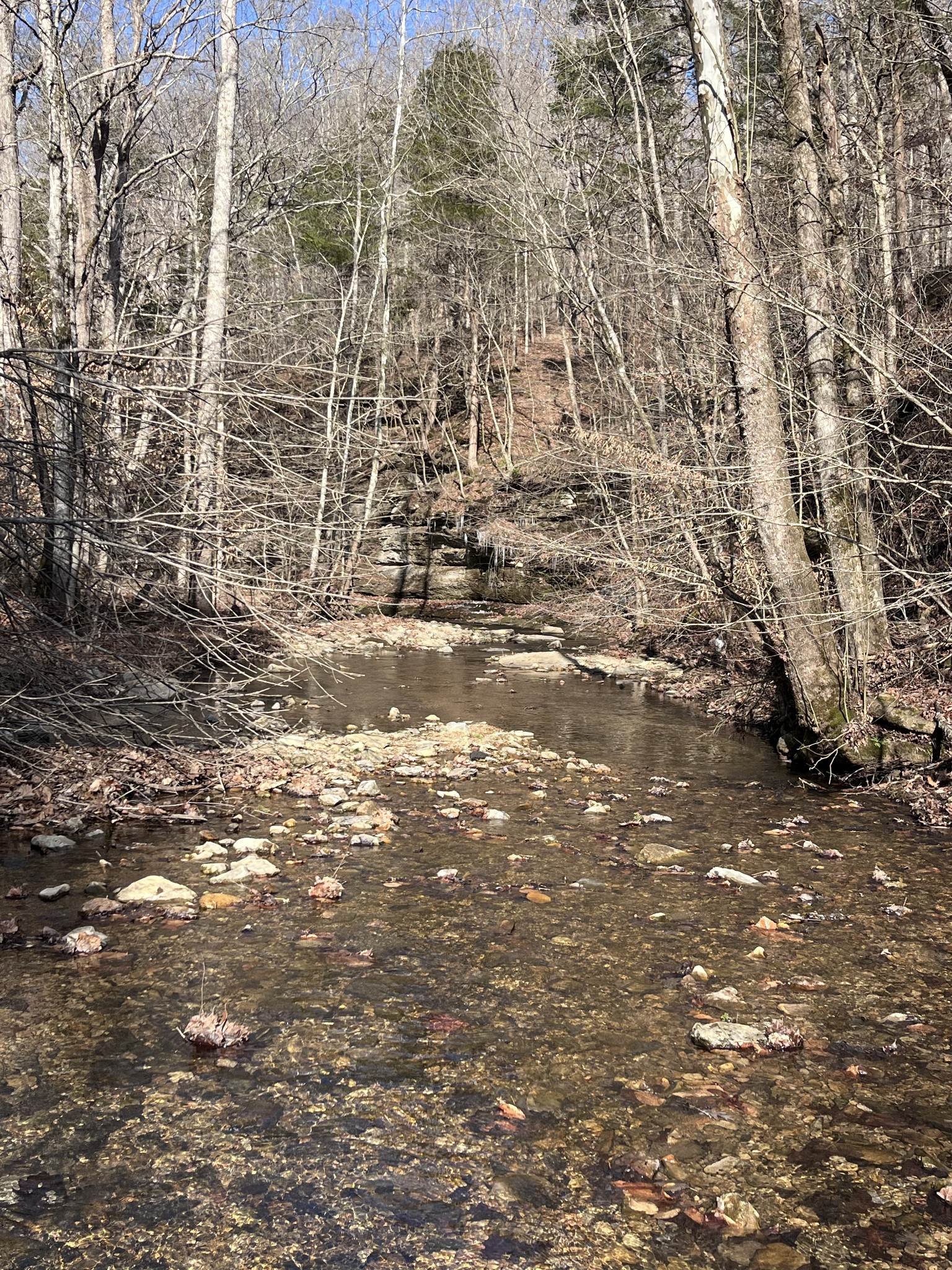 1146 Treanor Springs Road Kingston Springs, TN 37082 - Photo 28 of 31
