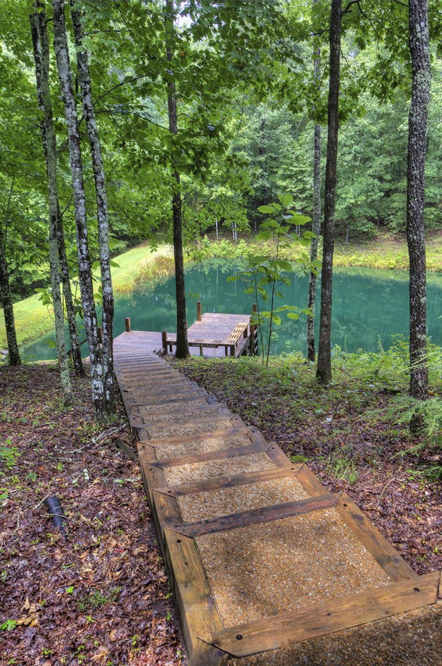 340 Doe Ridge Road Oneida, TN 37841 - Photo 29 of 40 a view of a park with large trees