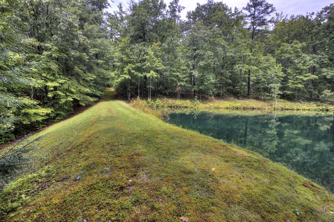 340 Doe Ridge Road Oneida, TN 37841 - Photo 31 of 40 a view of a yard