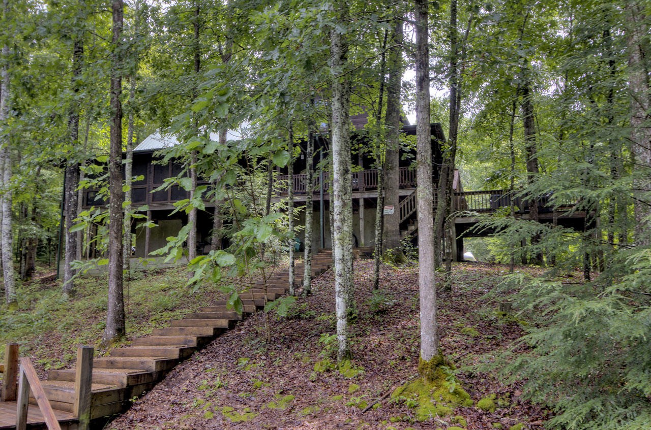 340 Doe Ridge Road Oneida, TN 37841 - Photo 33 of 40 a view of a forest